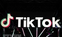 Правительственные органы Австралии ввели ограничения на использование TikTok