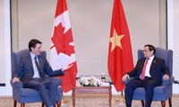 Премьер-министр Фам Минь Тинь провёл встречи с индийским и канадским коллегами, генсеком OECD и президентом Коморских Островов 