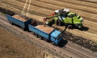  Россия: Черноморская зерновая сделка не может быть продлена