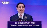 Вьетнамо-южнокорейский бизнес-форум