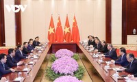 Премьер-министр Фам Минь Тинь провёл переговоры с премьером Госсовета КНР Ли Цян