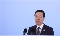 Президент Во Ван Тхыонг предложил сотрудничество по развитию цифровой экономики на основе трёх опор: цифровые институты, цифровая инфраструктура и цифровые людские ресурсы 