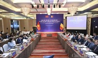 17-е заседание Вьетнамо-румынской смешанной комиссии по экономическому сотрудничеству 
