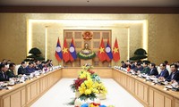 Премьер-министр Фам Минь Тинь: Вьетнам придаёт важное значение развитию особых отношений с Лаосом