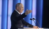 Рейтинг доверия президенту России Владимиру Путину остается на высоком уровне