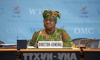 Страны Африки призвали ВТО спасти сектор производства хлопка 