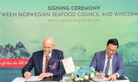 Содействие торговле морепродуктами между Вьетнамом и Норвегией