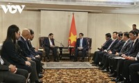 Премьер-министр Фам Минь Тинь провёл рабочую встречу с руководителями ведущих компаний Индии