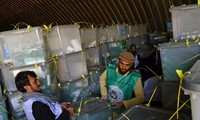 阿富汗总统选举结果推迟公布