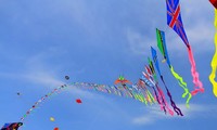 2014年头顿国际风筝节有新意