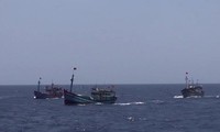 越南国会代表谴责中国船只撞沉越南渔船