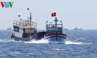 胡志明市华人反对中国非法定位钻井平台