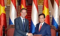 越南与荷兰加强能源合作