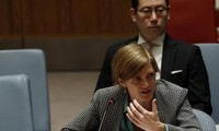 联合国安理会强调打击“伊斯兰国”、“基地”组织及其分支的迫切性