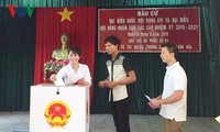 越南多个省市提前举行投票