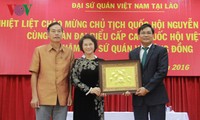 阮氏金银看望越南驻老大使馆工作人员及旅居老挝越南人代表
