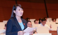 越南国会讨论政府各项报告