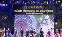 越南-马来西亚-印度尼西亚文化周开幕