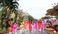 胡志明市继续举行多项活动迎接2017新年