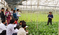 越南农业：明确挑战促增长