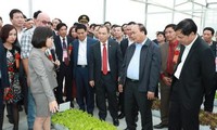 阮春福：直接向国际市场推介越南农产品