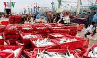 平定省渔民年初出海渔获丰收