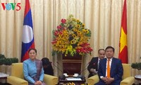 胡志明市市委书记丁罗升会见老挝国会主席巴妮