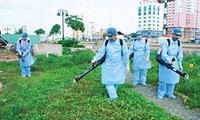 东盟预防登革热日：河内启动打扫卫生行动