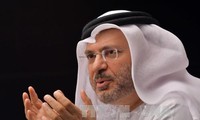 阿联酋：阿拉伯国家不试图改变卡塔尔制度
