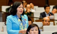 越南国会要颁布胡志明市发展机制政策决议
