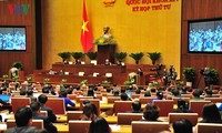 越南国会通过《规划法》