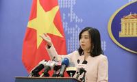 越南外交部通报在台湾越南劳动者的保护工作情况