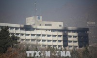 阿富汗酒店袭击事件造成巨大伤亡