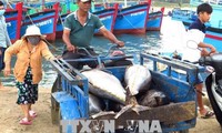 CPTPP对越南农民和渔民产生积极影响