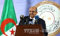 阿尔及利亚将承办非洲反恐会议