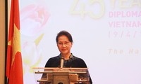 越南-荷兰建交45周年纪念大会在荷兰举行