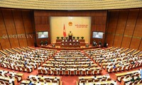 越南国会讨论经济社会发展情况