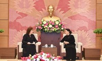 越南国会主席阮氏金银会见俄罗斯国家杜马副主席艾菲法诺娃