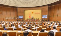 越南国会审议延长外国人入境试行签发电子签证期限