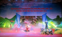 太原省举行基层示范文化村文化艺术节