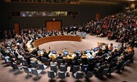 参加联合国安理会 提高越南的地位