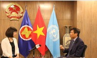 国际友人支持越南竞选联合国安理会非常任理事国