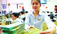 越南国家银行继续执行货币调控政策   控制通胀   稳定宏观经济