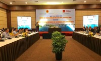 丹麦帮助越南进行能源转型面向可持续发展