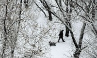俄罗斯公布气候“适应”计划