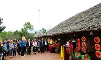 各国外交使团感受越南传统春节