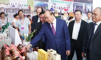 阮春福出席2020年茶荣省投资促进会