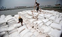 越南中标向菲律宾供应大米