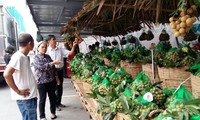 Tuần lễ nhãn lồng Hưng Yên tại Hà Nội