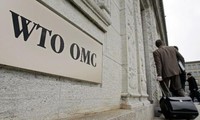 ចិនបានស្នើ WTO អនុញ្ញាតឲ្យផាកពិន័យទៅលើទំនិញអាមេរិក